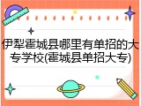 伊犁霍城县哪里有单招的大专学校(霍城县单招大专)