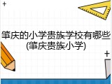 肇庆的小学贵族学校有哪些(肇庆贵族小学)