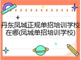 丹东凤城正规单招培训学校在哪(凤城单招培训学校)