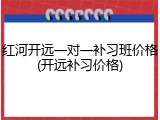 红河开远一对一补习班价格(开远补习价格)