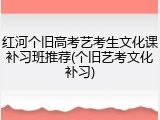 红河个旧高考艺考生文化课补习班推荐(个旧艺考文化补习)