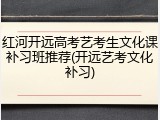 红河开远高考艺考生文化课补习班推荐(开远艺考文化补习)