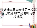 楚雄禄丰县高考补习学校哪家比较好(禄丰高考补习学校推荐)