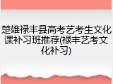 楚雄禄丰县高考艺考生文化课补习班推荐(禄丰艺考文化补习)
