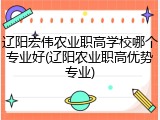 辽阳宏伟农业职高学校哪个专业好(辽阳农业职高优势专业)