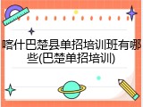喀什巴楚县单招培训班有哪些(巴楚单招培训)