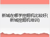 新城在哪学挖掘机比较好(新城挖掘机培训)