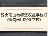 鹤岗南山有哪些农业学校好(鹤岗南山农业学校)