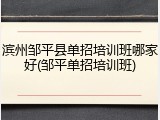 滨州邹平县单招培训班哪家好(邹平单招培训班)