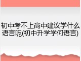 初中考不上高中建议学什么语言呢(初中升学学何语言)