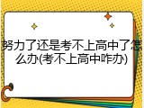 努力了还是考不上高中了怎么办(考不上高中咋办)
