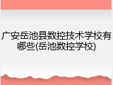 广安岳池县数控技术学校有哪些(岳池数控学校)