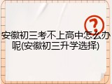 安徽初三考不上高中怎么办呢(安徽初三升学选择)