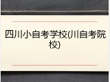 四川小自考学校(川自考院校)