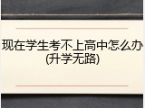 现在学生考不上高中怎么办(升学无路)