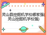 灵山县挖掘机学校哪家强(灵山挖掘机学校强)