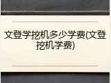 文登学挖机多少学费(文登挖机学费)