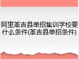 阿里革吉县单招集训学校要什么条件(革吉县单招条件)