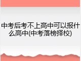 中考后考不上高中可以报什么高中(中考落榜择校)