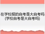 在学校报的自考是大自考吗(学校自考是大自考吗)