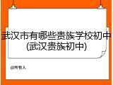 武汉市有哪些贵族学校初中(武汉贵族初中)
