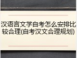 汉语言文学自考怎么安排比较合理(自考汉文合理规划)
