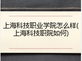 上海科技职业学院怎么样(上海科技职院如何)