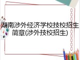 湖南涉外经济学校技校招生简章(涉外技校招生)