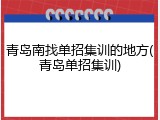 青岛南找单招集训的地方(青岛单招集训)