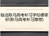 临沧耿马高考补习学校哪家好(耿马高考补习推荐)