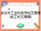 武汉市工业科技学校王珊珊(武工校王珊珊)