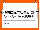 哪块有国际产后恢复培训学校(国际产后恢复培训)