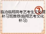 临沧临翔高考艺考生文化课补习班推荐(临翔艺考文化补习)