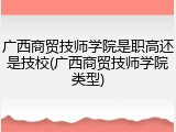 广西商贸技师学院是职高还是技校(广西商贸技师学院类型)