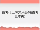 自考可以考艺术类吗(自考艺术类)