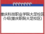 重庆科技职业学院大足校区介绍(重庆职院大足校区)