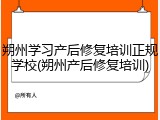 朔州学习产后修复培训正规学校(朔州产后修复培训)