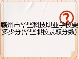 赣州市华坚科技职业学校要多少分(华坚职校录取分数)
