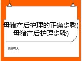 母猪产后护理的正确步骤(母猪产后护理步骤)