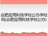 合肥应用科技学校公办学校吗(合肥应用科技学校公办)