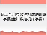阿坝金川县数控机床培训班学费(金川数控机床学费)