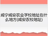 咸宁咸安农业学校地址在什么地方(咸安农校地址)