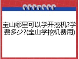 宝山哪里可以学开挖机?学费多少?(宝山学挖机费用)