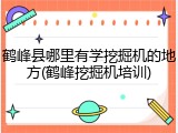 鹤峰县哪里有学挖掘机的地方(鹤峰挖掘机培训)
