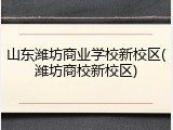 山东潍坊商业学校新校区(潍坊商校新校区)