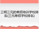 三明三元的单招培训学校排名(三元单招学校排名)