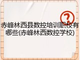 赤峰林西县数控培训职校有哪些(赤峰林西数控学校)