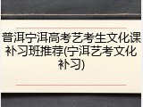 普洱宁洱高考艺考生文化课补习班推荐(宁洱艺考文化补习)