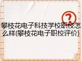 攀枝花电子科技学校职校怎么样(攀枝花电子职校评价)
