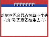 哈尔滨巴彦县农校毕业生去向如何(巴彦农校生去向)